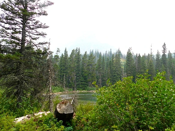 9972D7385B8C9EBF14B83D