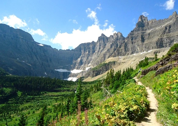 2464DA3753F29A7B230467