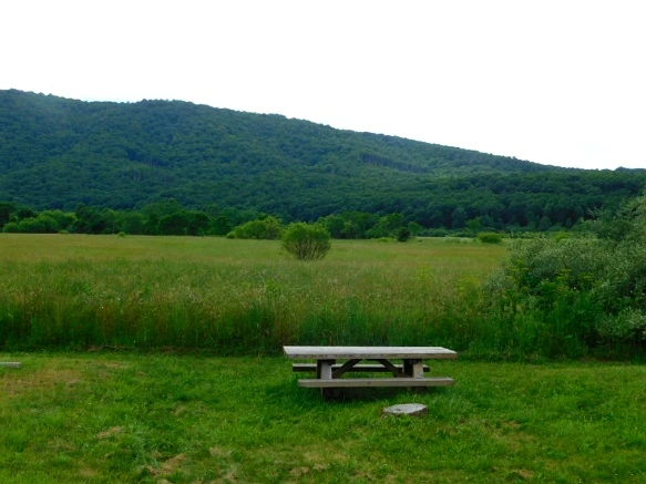 247C5046594C91BD2AD61B