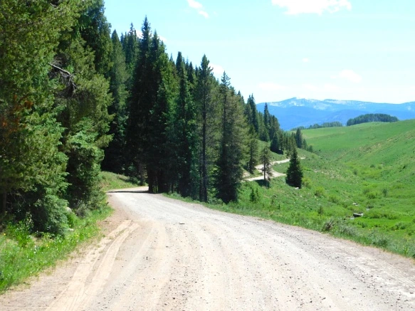 2320F447595C2CDE144BEC