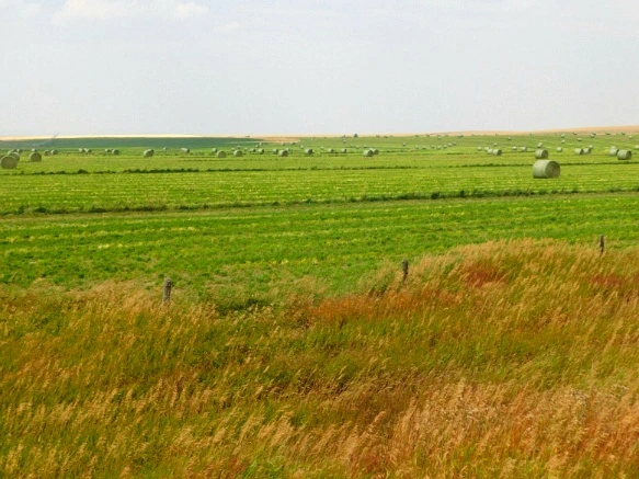 99B9D633599E4F320C6ABC