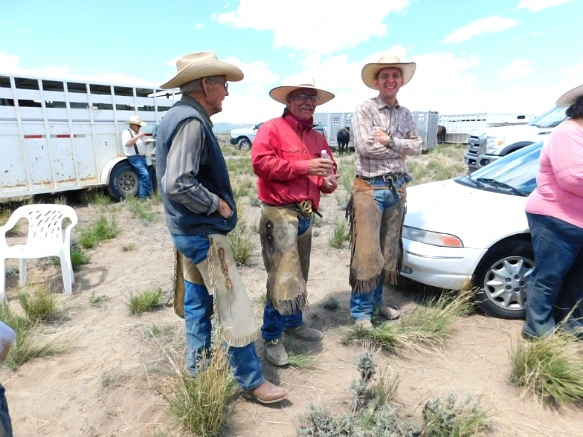 231F1D46593635683E24C3