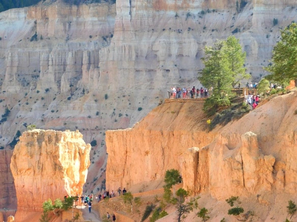 9977813359B9BC4F2219E1