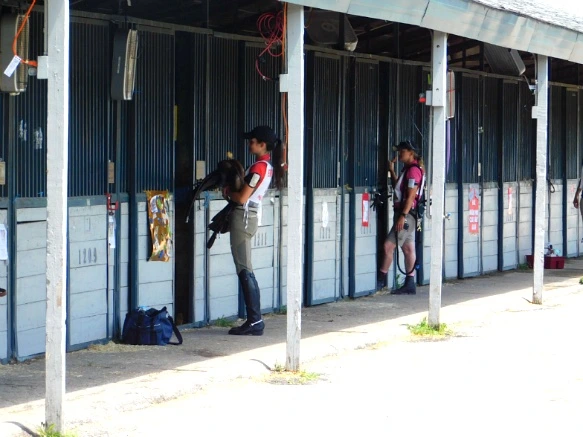 26AC2633597D17152CC798