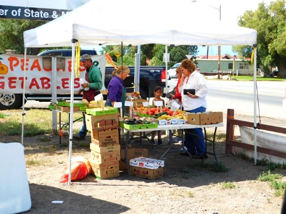 990C243359C335152DA1B7