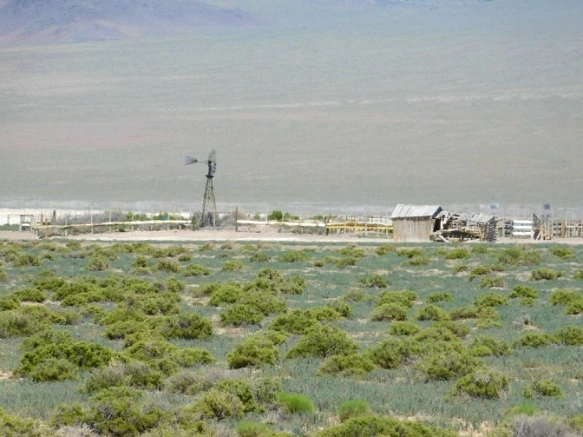 265BAE42576F44B5091973