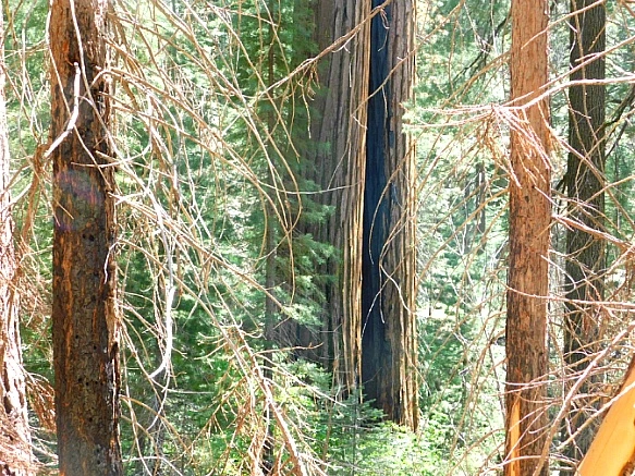 2153953C57736C351008BF