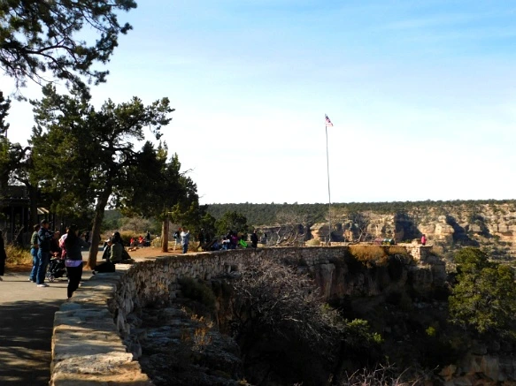 99F31A335A1F61E6049922