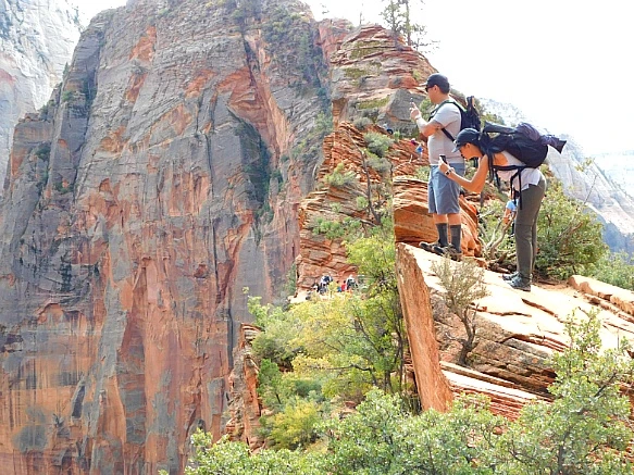 99303E4E5BC69A541F02EF