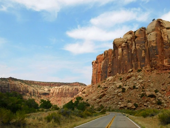 994F643359B4846C1D49A8