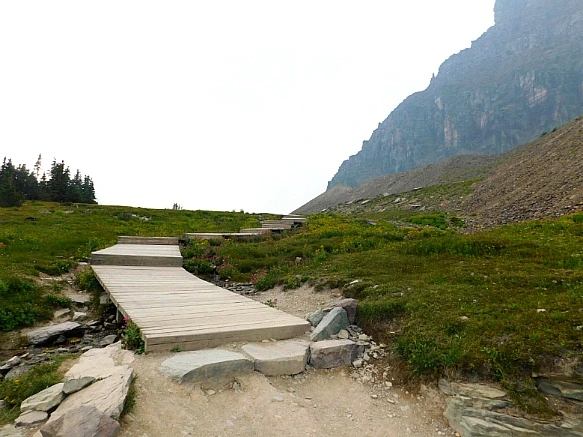 99ED95465B8A037939F93B