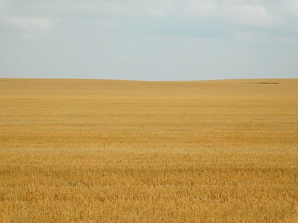 99FBE9465B8379F322E6A9