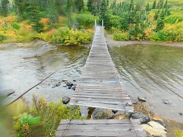 99DE784B5BAAFC1B073858