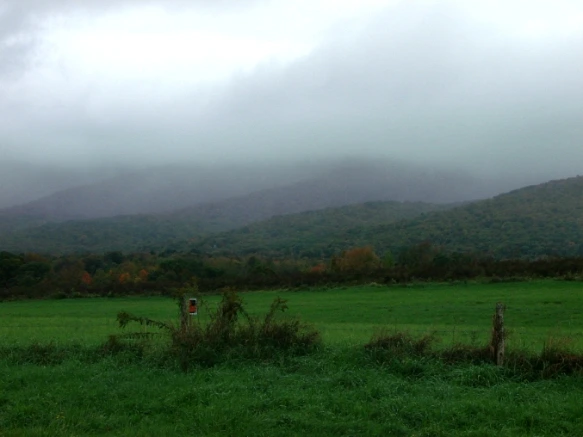 1642E54A4E7FE35119D6D2