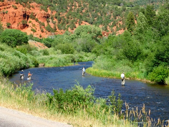 2337DD47595C2D0619040F