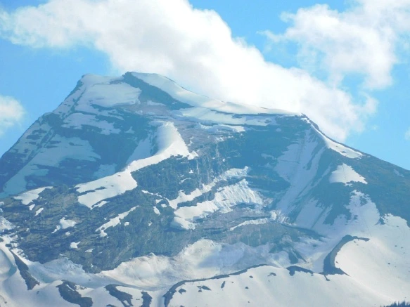 999EE6425B3455D327998B