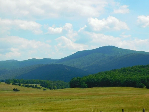 2651353D594C77240BFA54