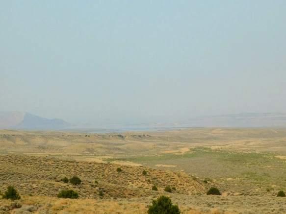 9956B83359B1EDC62E909C