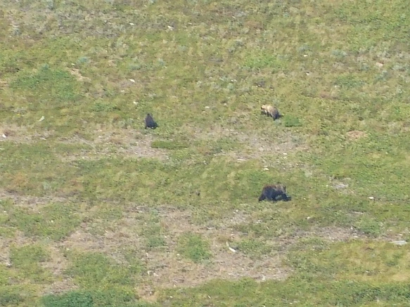 999833485B8F334008A950