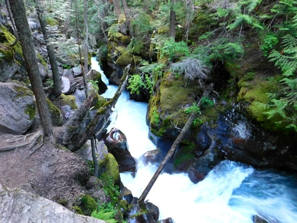 995EA34D5B381AE306EE4D