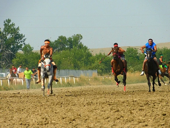 9995C7355B7D9BD622B06D