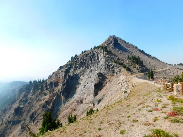 991E513359A62E8F2E5C41