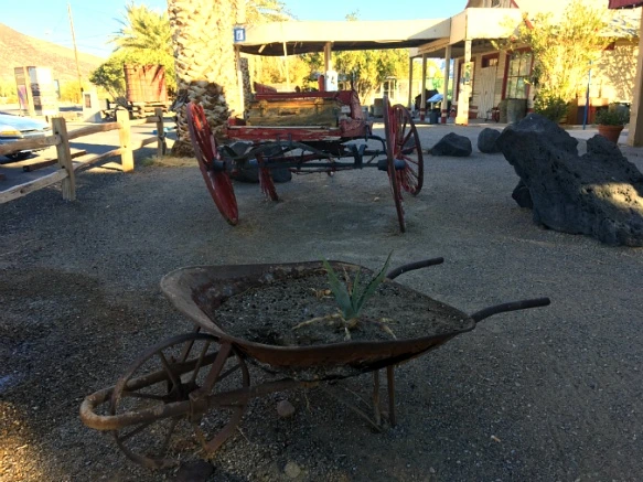 9956F8335A220C4C0891B5