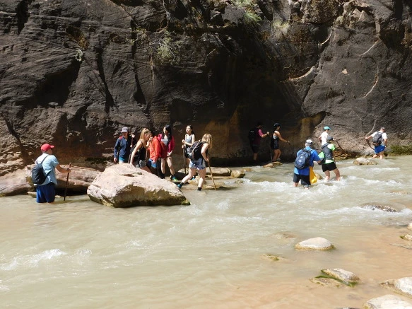 9967193359BB1315343436