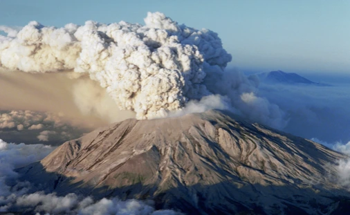 99CD863359A4CD8B34EE34