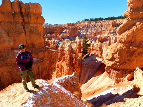 99C110335A1A3B67246602