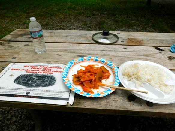 247C044E59509A0E287735