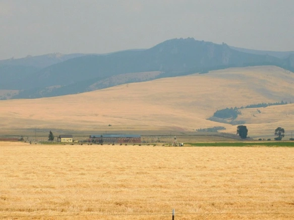 9924C633599E4F5A0BE20B