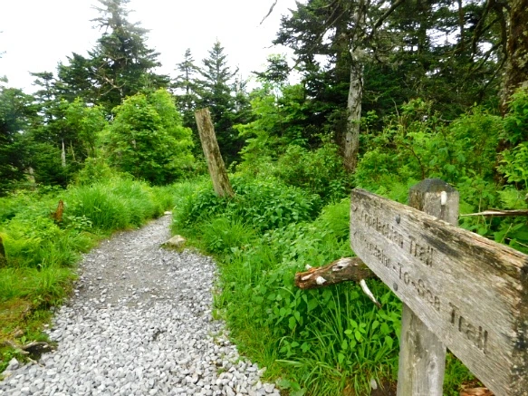 2210294F595098201AF03F