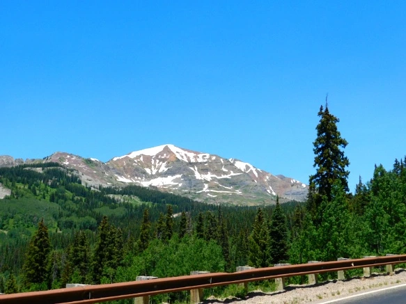 2626F944595C31AA19D1BE