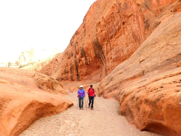 99F5F1335A18D4E22011D4