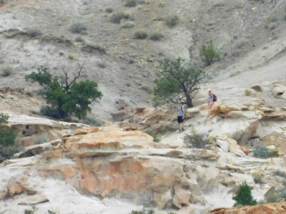 991B5A3359B74D4B1B25B4