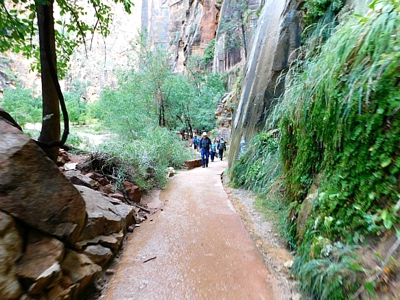 99EAFD495BC6851E1DA186