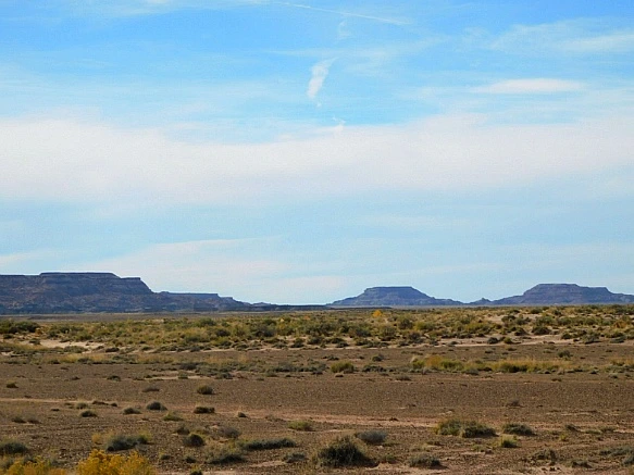 99BF32405BE6788F38EEBF