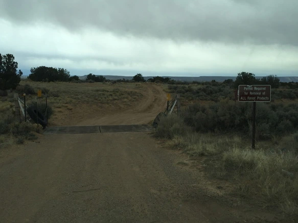 213263355705B217056D79