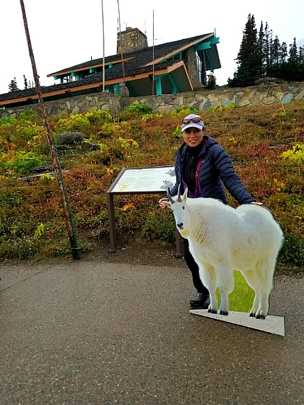 9939A4435BA8560F02CDFE