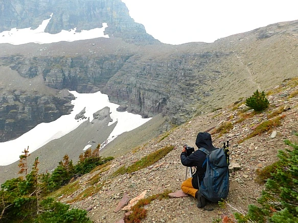 99CB553F5B8A0204349564