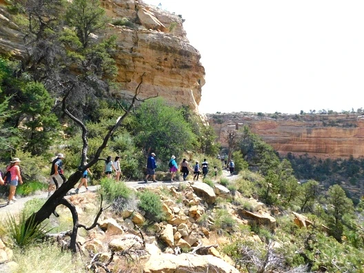 27600A44576225E50FFECB