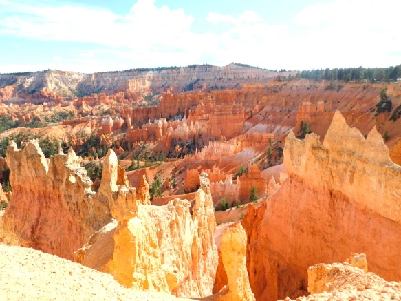 99B4683359B9BBF72436E1