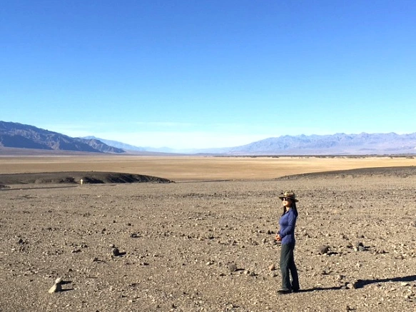 99B538335A24C1C5324684