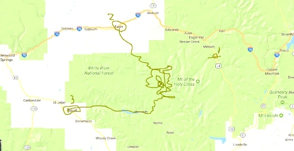 2317BD4C595C4640201175