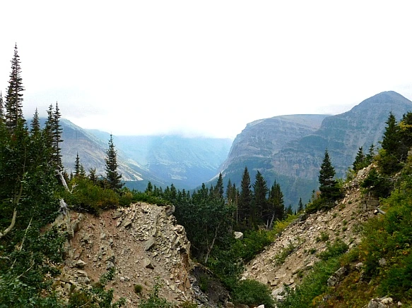 9955AC365B949D8F266594