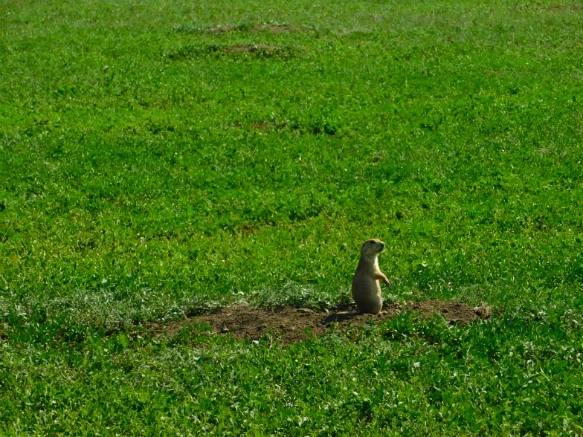 99A874445B4806C61FE25D