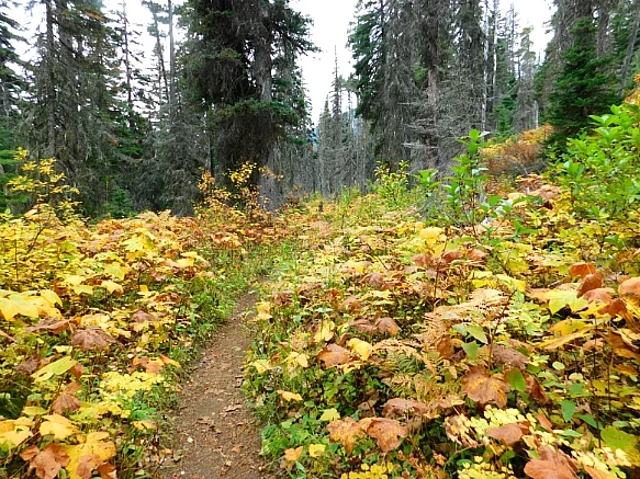 9912FA455BAB05B9299F52