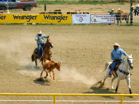 995D8D365B7A395322524F