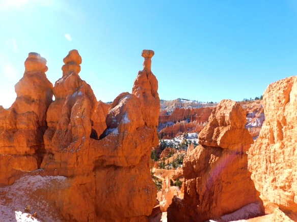 999E97335A1A3B6F3684B6